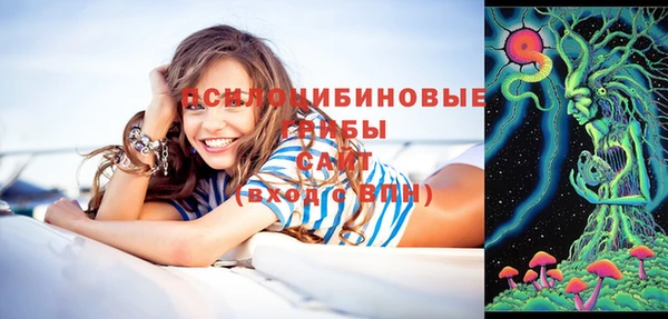 амф Абаза
