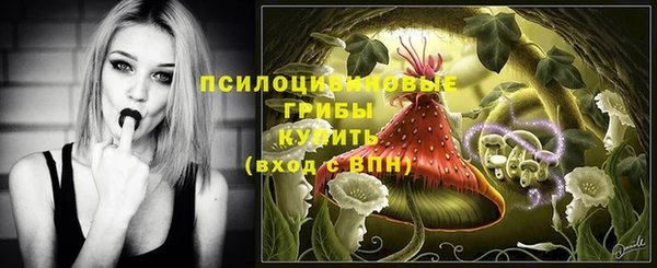 эйфоретик Абинск