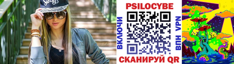 купить закладку  Иваново  Псилоцибиновые грибы Psilocybine cubensis 
